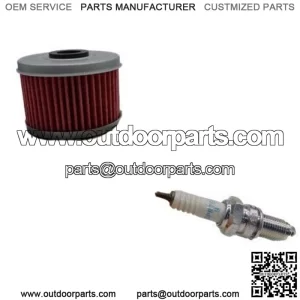 Honda TRX300 FourTrax 300 Tune Up Kit Oil Filter NGK Spark Plug TRX300FW TRX (For: Honda)